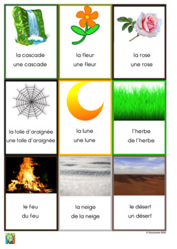 Preview of Flashcards - Nature in French - 36 cards