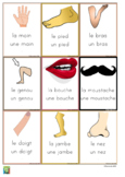 36 flashcards body parts in French
