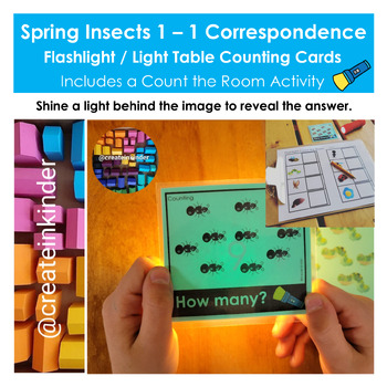 Preview of Spring Insects 1 - 1 Correspondence Count the Room Flashlight / Light Table