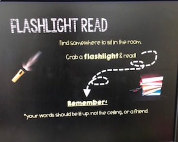 Preview of Flashlight Read