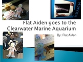 "Flat Aiden" Story