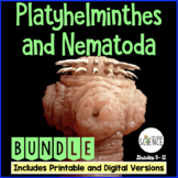Phylum Platyhelminthes and Phylum Nematoda Flatworms and R