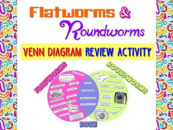 Preview of Flatworms and Roundworms Venn Diagram Review Activity for Zoology or Biology