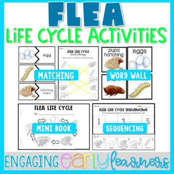 Preview of Flea Life Cycle Printable Word Wall & Activities | Preschool PreK Kindergarten