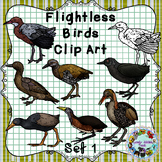 Flightless Birds Clip Art: Set 1