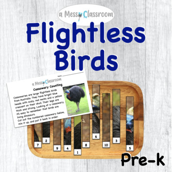 Preview of Flightless Birds Thematic Unit Lesson Plan