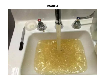 Preview of Flint, Michigan Water Crisis (2014-2016) Discussion Anticipatory Set (EDITABLE)