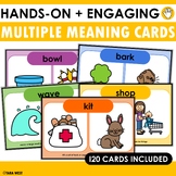 Multiple Meaning Cards - Phonics Based Vocabulary