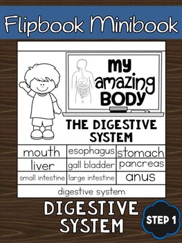 Preview of Flipbook / Minibook : The Digestive System : Step 1 - Learn Words Color & Write