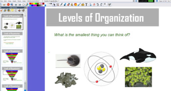 Preview of Levels of Ecological Organization - Flipchart