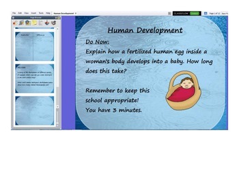 Preview of Flipchart for Notes on Human Development