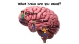 Flipping the lid brain/ upstairs and downstairs brain for 