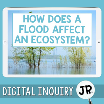 Preview of Floods & Changes in Ecosystems Digital Inquiry Jr.  |  3rd Grade