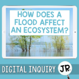 Floods & Changes in Ecosystems Digital Inquiry Jr.  |  3rd Grade