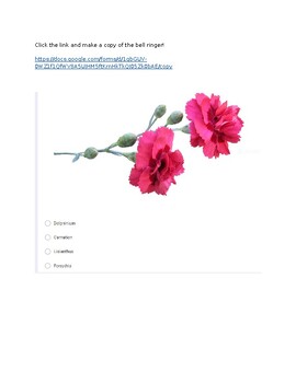 Preview of Floral Design Bell Ringer Flower Identification Google Form