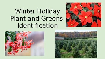 Preview of Floral/Plant/Agriculture - Winter Holiday Plants and Greens - research worksheet