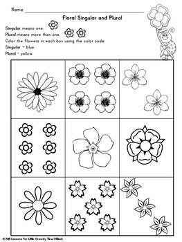 Floral Plurals Singular & Plural Center & Pages Free Sample | TpT