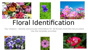 Preview of Floral design/Agriculture - Flower identification research with template