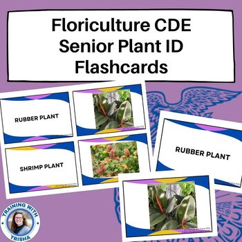Preview of Floriculture CDE - SENIOR - Plant ID Flashcards