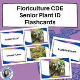 Floriculture CDE - SENIOR - Plant ID Flashcards