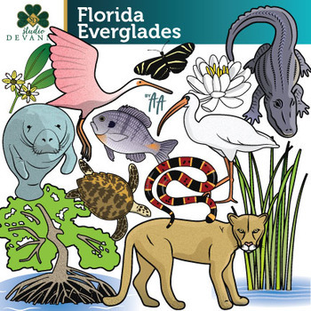 Preview of Florida Everglades Clip Art / Wetland Clip Art