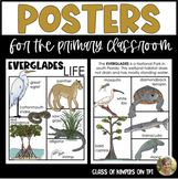 Wetlands Florida Everglades Posters Animal Habitats Kinder