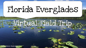 Preview of Florida Everglades Virtual Field Trip - National Park, Wetlands, Ecosystem