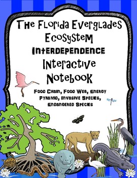 Preview of Florida Everglades Wetland Interdependence Interactive Notebook