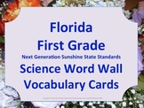 Florida Science Word Wall 1st First Grade Vocabulary NGSSS