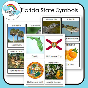 Preview of Florida State Symbols