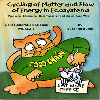 Preview of Flow of Energy & Recycling of Matter in Ecosystems: Food Chains/Webs - MS-LS2-3