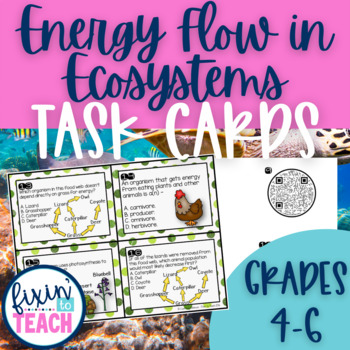 Preview of Flow of Energy Task Cards for Upper Elementary Science | Food Chains & Food Webs