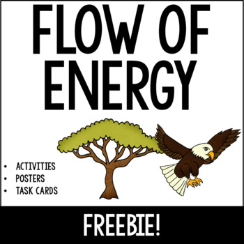 Preview of Flow of Energy FREEBIE: Food Chains, Producers, Consumers and More!