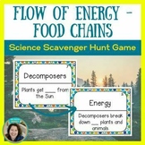 Flow of Energy - Cycling of Matter - Food Chains - Science