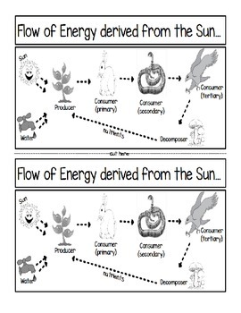 Preview of Flow of Energy from the Sun