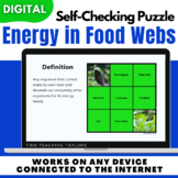 Flow of Energy in Food Webs and Food Chains | Self Checkin