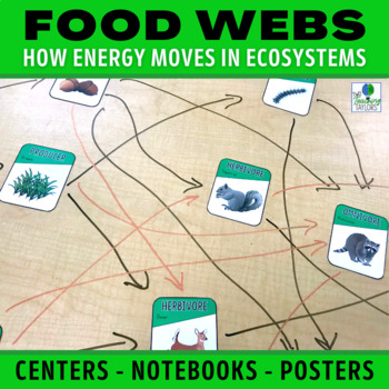Preview of Create a Food Web Activity - Energy Flow in Ecosystems Task Cards and Worksheets