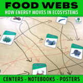Create a Food Web Activity - Energy Flow in Ecosystems Tas