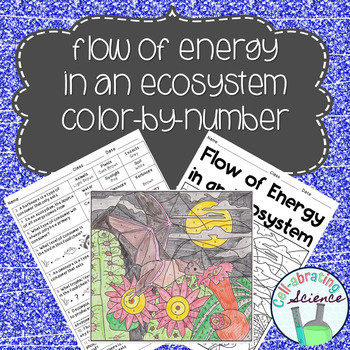 Preview of Flow of Energy in an Ecosystem Color by Number