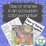 Flow of Energy in an Ecosystem Color by Number