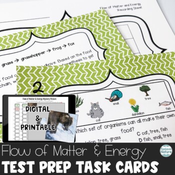 Preview of Flow of Matter and Energy Science Review Task Cards – Photosynthesis Test Prep