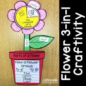 Preview of Plant Life Cycle Flower 3-in-1 Craft: Parts of a Flower, Flower Life Cycle