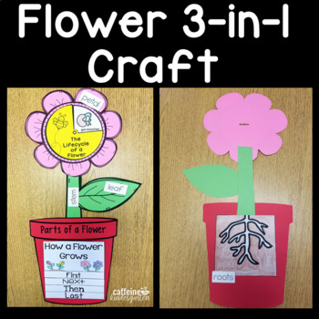 Plant Life Cycle Flower 3-in-1 Craft: Parts of a Flower, Flower Life Cycle