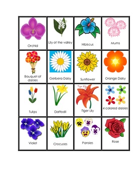 Flower Bingo by Jennifer Stevenson | Teachers Pay Teachers