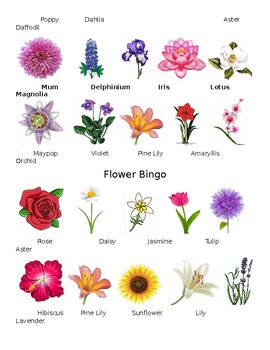 Flower Bingo by Olivia Grace | Teachers Pay Teachers