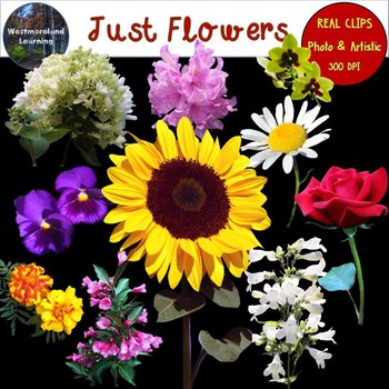 Flower Clip Art Photo & Artistic Digital Stickers Just Flowers Series