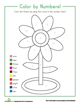 Preview of Flower Color By Numbers