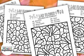mexican flowers coloring pages