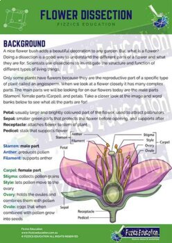 Preview of Flower Dissection Activity