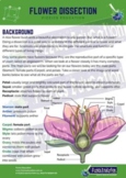 Flower Dissection Activity